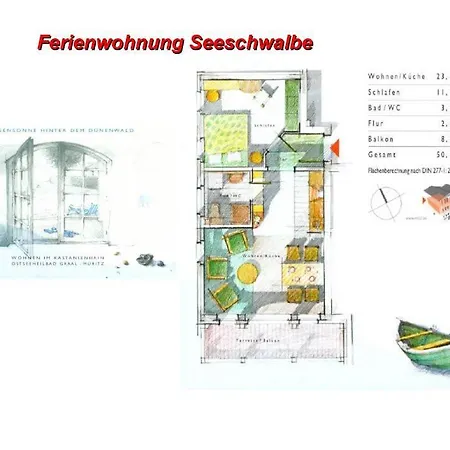 Seeschwalbe Graal-Mueritz