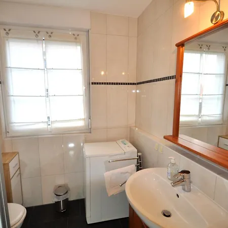 Seeschwalbe Graal-Mueritz