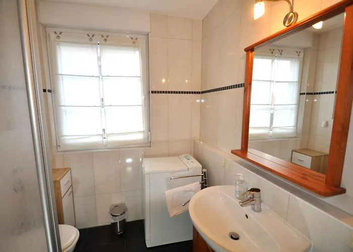 Seeschwalbe Graal-Mueritz